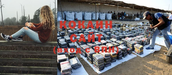 ПСИЛОЦИБИНОВЫЕ ГРИБЫ Сосновый Бор