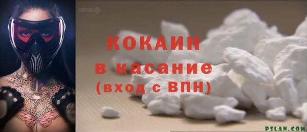 ПСИЛОЦИБИНОВЫЕ ГРИБЫ Сосновый Бор