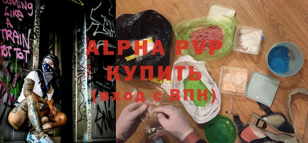 ПСИЛОЦИБИНОВЫЕ ГРИБЫ Сосновый Бор