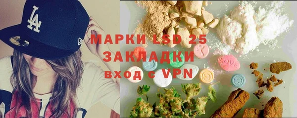 ПСИЛОЦИБИНОВЫЕ ГРИБЫ Сосновый Бор