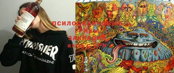 PSILOCYBIN Сосновоборск
